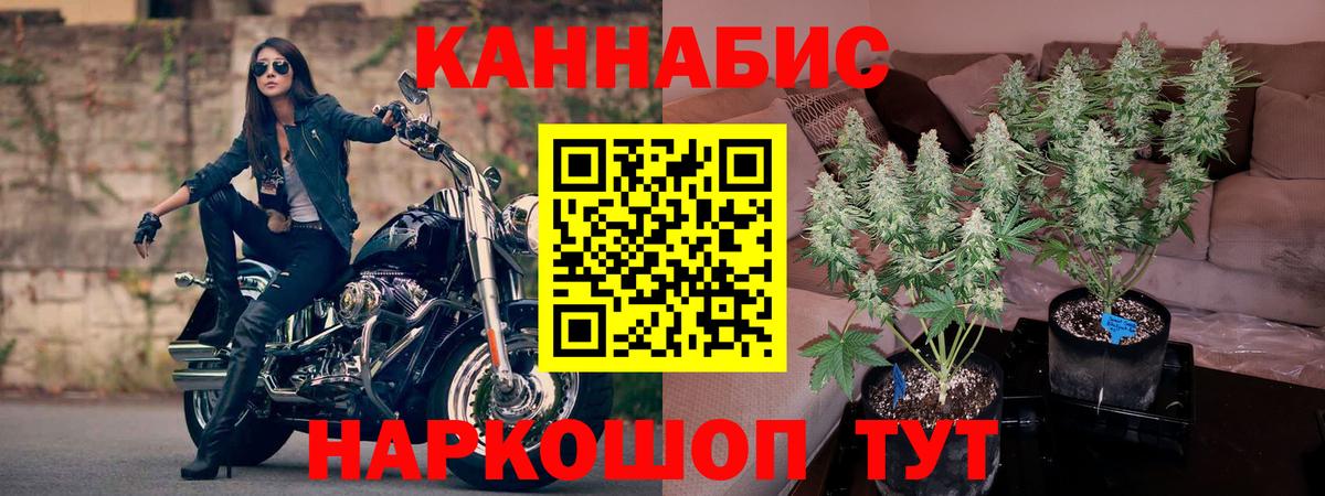 Марихуана VHQ  Вход с VPN  Каннабис Bruce Banner  Ступино  Каннабис OG Kush  Бошки Шишки индика 